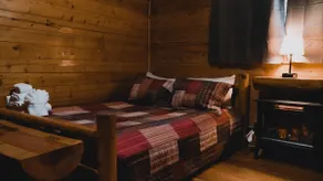 Rustic Cabin 9 - Pet Friendly - Hot Tub Access - Image 5