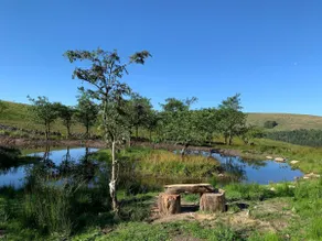 1 Bed in Snaizeholme oc-ds671 - Image 3