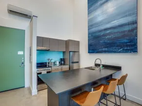 Bardo Lofts Penthouse Suite 307 - Image 3