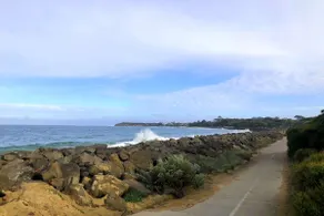 Bay Bright - Image 2