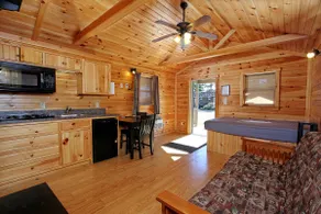 Fireside Studio Cabin - Image 3
