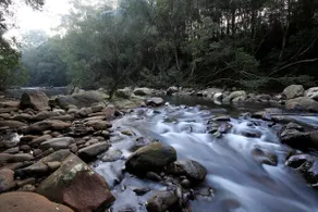 Rainforest River Retreat Kangaroo Valley - Image 3