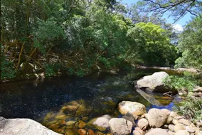 Rainforest River Retreat Kangaroo Valley - Image 2