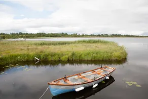 Inviting 4-Bed House in Strokestown - Image 5