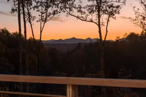 Pool + Hot Tub + Plunge • 12 Min to Asheville - Image 3
