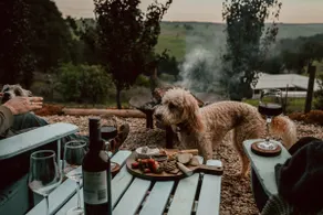 Serene Wellness Retreat – Farm and Forest Views - Image 2