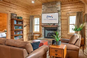 Log Cabin w/ Views, Games, Pool + Biltmore Pass - Image 4