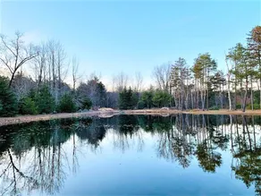In The Woods - Pet Friendly Waterfront - Image 5