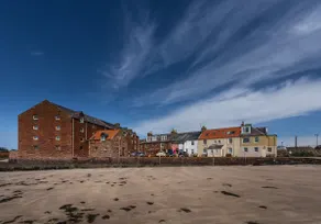 The Gulls - Image 5