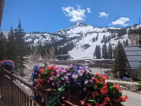 Brighton Ski Resort Hidden Falls 1 Bedroom Chalet Utah - Image 4