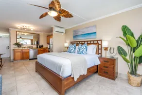 Ocean View Ground Floor Studio at Napili Shores G1 - Image 4