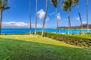 Breathtaking Oceanfront Studio Napili Shores A106 - Image 4