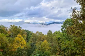 Smoky Mountain Cabin w/ Hot Tub & Views! - Image 2