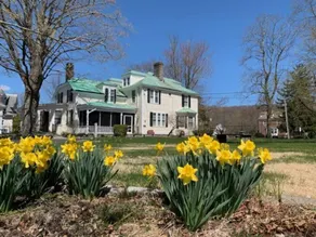 Charming estate on Norwich Green, near casinos - Image 3