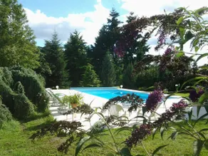 Renovated house with pool and garden in Moulins - Image 4