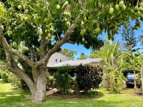 Peaceful Maui Bungalow | Ka Hale Aloha-Love Shack - Image 2