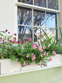 Garden Cottage in Downtown Mathews - Image 5