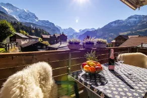 Chalet Hannegg 2 - Image 2
