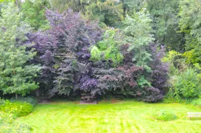 Oasis Verte - Image 2