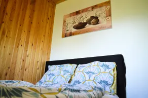 Oasis Verte - Image 5