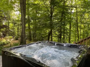 Two Houses - 4 Minutes to Dahlonega - Hot Tub - Image 4