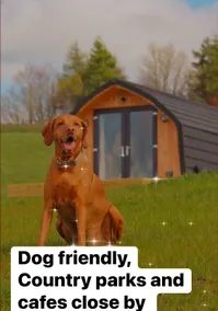 Fox's Den - Image 3