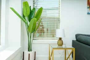 The Vacationer A modern luxury 💎 - Image 5