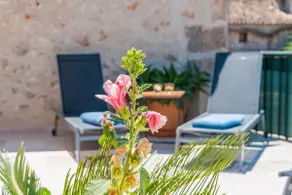 House in Sineu - Image 4