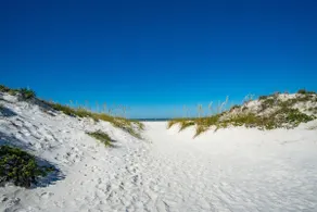 2/2 Penthouse, Clearwater Beach, 801 Avalon! - Image 4