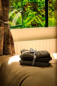 Riverside Cabin | Cavan Lakes | River Access - Image 2