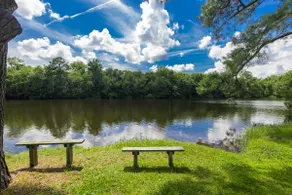 Lakefront Home with Canoes & Beach Access - Image 3