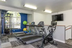 Ebony Escape- gym, sauna, hot tub, seasonal pool - Image 4