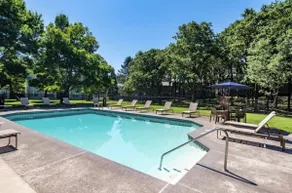 Ebony Escape- gym, sauna, hot tub, seasonal pool - Image 5