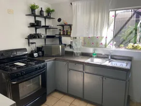 Zebra Studio - 1 double-bed, kitchen - Image 4