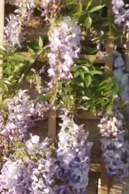 Mortain-Bocage - 2-Bed Wisteria Cottage Sleeps 4 - Image 5