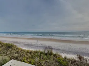 Pelican Nest - Image 3