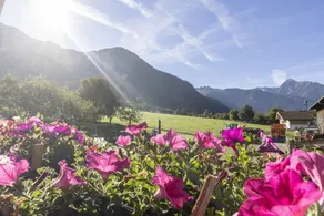 Feriebolig Moiklerhof i Ramsau im Zillertal - Image 3