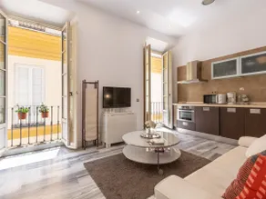 Apartment overlooking Plaza de la Merced in the building where Picasso was born - Image 2