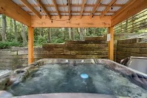 Sitting Bear Cottage in Gingercake Acres auf der Ostseite der Linville-Schlucht - Image 3