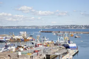 Harbour View - Image 3