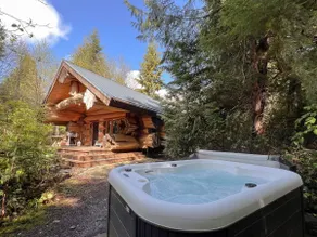 Copper Cabin- Hot Tub, Luxury, Romantic - Image 2