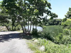 Gondola bend - Image 5