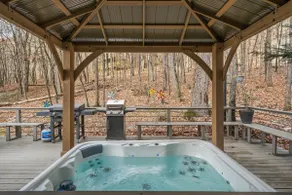 Hawk Mountain Song- Massanutten Home with hot tub! - Image 5