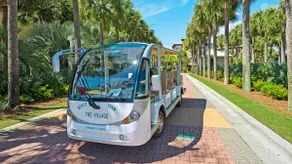 Seacrest Lagoon Pool - Free Tram to Beach - Sleeps 12 - Image 3