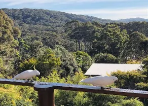 Carr Street Murramurang National Park managed by Batemans Bay Accom - Image 2