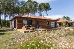Spacious wooden house from 2021, quiet, forest view - Image 2