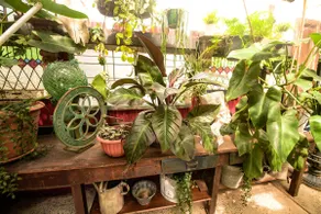 Centrally Located Garden Terrace Apart-3 Bedrooms - Image 3