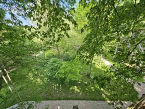 The Treehouse - Image 3