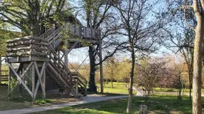 The Treehouse - Image 2