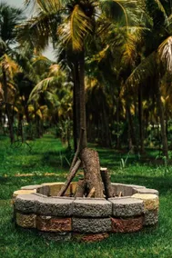 Camping area on a palm farm facing the sea - Image 4